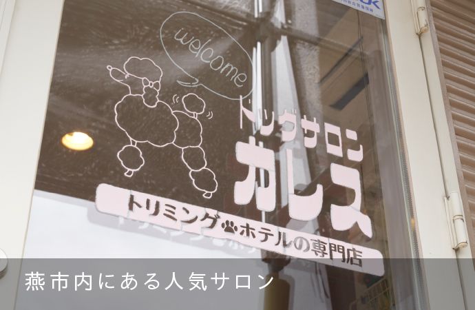 燕市内にある人気サロン ドッグサロン「カレス」