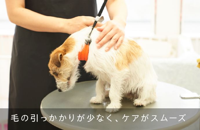 毛の引っかかりが少なく、ケアがスムーズ