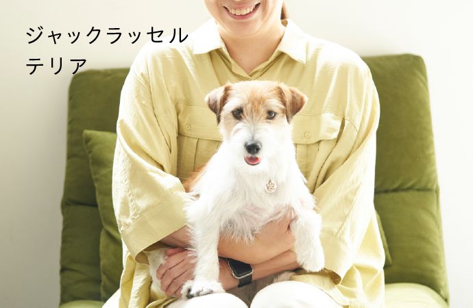 ジャック・ラッセル・テリア