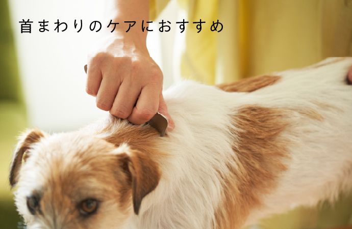 首まわりのケアにおすすめ