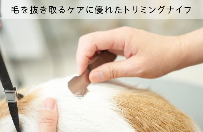 毛を抜き取るケアに優れたトリミングナイフ