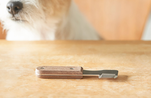 本来の毛質を育てる「抜く」お手入れ